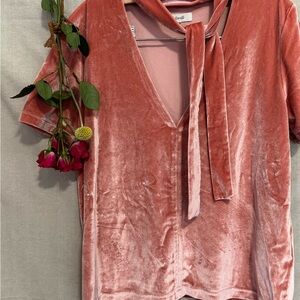 Madewell Rose Velvet V-Neck Short Sleeve Top